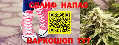 гидра Заволжье