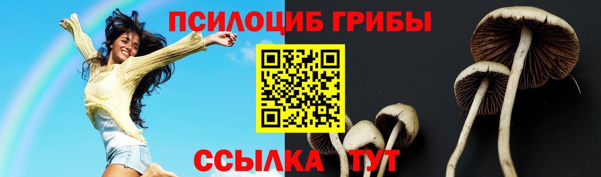Кумертау  Галлюциногенные грибы Magic Shrooms  закладки  Вход с VPN 